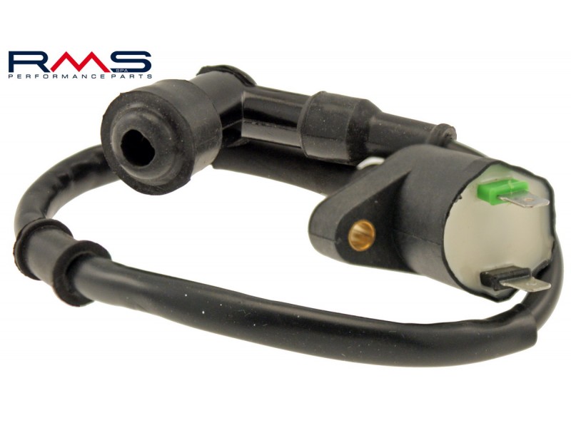 Bobina de inductie RMS 246010082