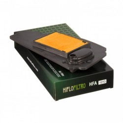 Filtru de aer HIFLOFILTRO HFA1213 Filtru de aer HIFLOFILTRO HFA1213