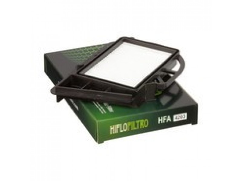 Filtru de aer HIFLOFILTRO HFA4203 Filtru de aer HIFLOFILTRO HFA4203