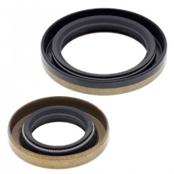 Kit garnituri arbore cotit All Balls Racing CS24-2002 Kit garnituri arbore cotit All Balls Racing CS24-2002