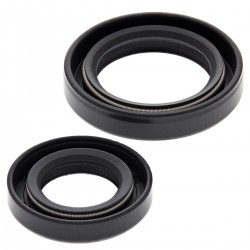 Kit garnituri arbore cotit All Balls Racing CS24-2008 Kit garnituri arbore cotit All Balls Racing CS24-2008