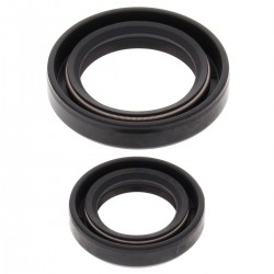 Kit garnituri arbore cotit All Balls Racing CS24-2009 Kit garnituri arbore cotit All Balls Racing CS24-2009