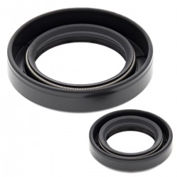 Kit garnituri arbore cotit All Balls Racing CS24-2010 Kit garnituri arbore cotit All Balls Racing CS24-2010