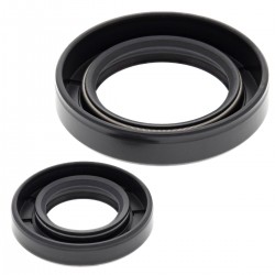 Kit garnituri arbore cotit All Balls Racing CS24-2011 Kit garnituri arbore cotit All Balls Racing CS24-2011
