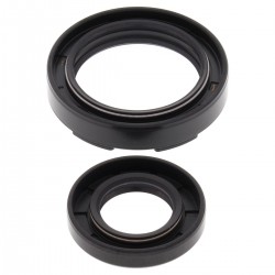 Kit garnituri arbore cotit All Balls Racing CS24-2019 Kit garnituri arbore cotit All Balls Racing CS24-2019