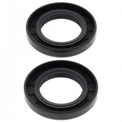Kit garnituri arbore cotit All Balls Racing CS24-2029 Kit garnituri arbore cotit All Balls Racing CS24-2029