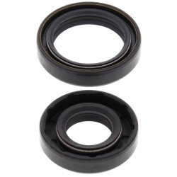 Kit garnituri arbore cotit All Balls Racing CS24-2032 Kit garnituri arbore cotit All Balls Racing CS24-2032