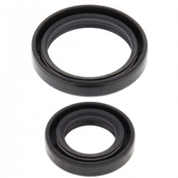Kit garnituri arbore cotit All Balls Racing CS24-2035 Kit garnituri arbore cotit All Balls Racing CS24-2035