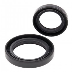 Kit garnituri arbore cotit All Balls Racing CS24-2038 Kit garnituri arbore cotit All Balls Racing CS24-2038