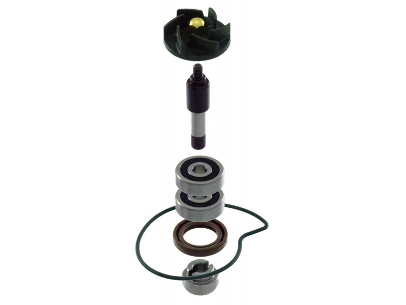 Set pompa de apa RMS 100110440