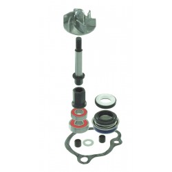 Set pompa de apa RMS 100110480 Set pompa de apa RMS 100110480