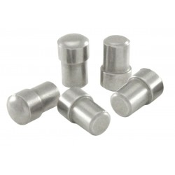 Pulley Pin RMS 100300470 (5 pieces) Pulley Pin RMS 100300470 (5 pieces)