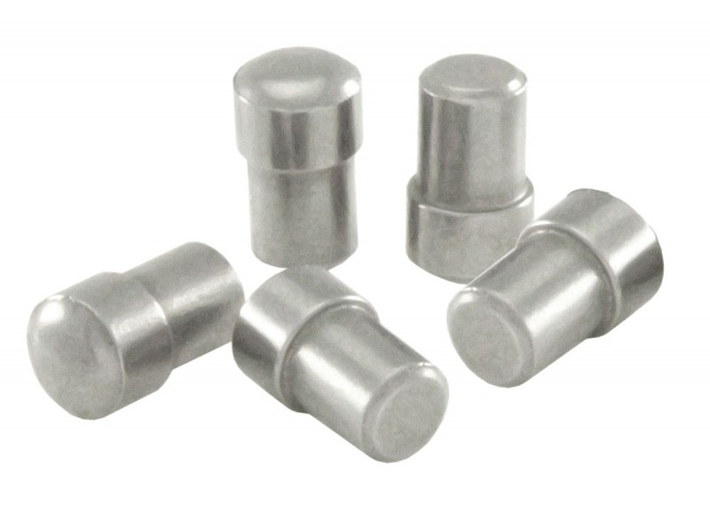 Pulley Pin RMS 100300470 (5 pieces) Pulley Pin RMS 100300470 (5 pieces)