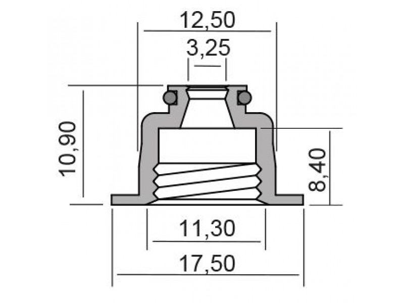 Oil seal RMS 100669200 valve stem