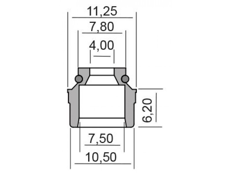 Oil seal RMS 100669210 valve stem
