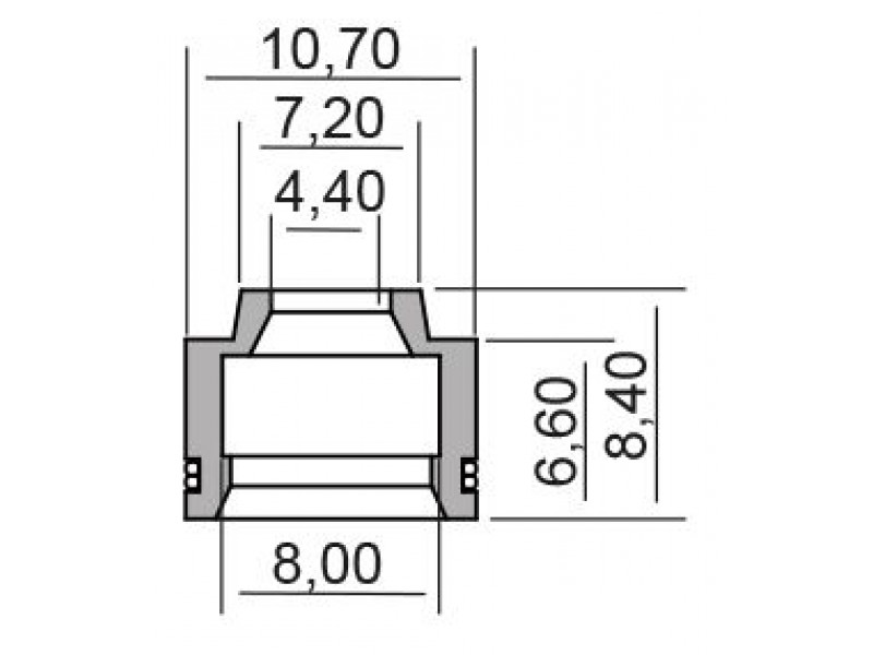 Oil seal RMS 100669290 valve stem