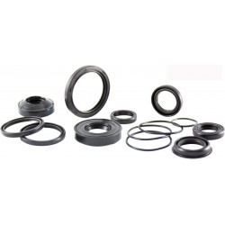 Oil seal RMS 100669300 valve stem Oil seal RMS 100669300 valve stem