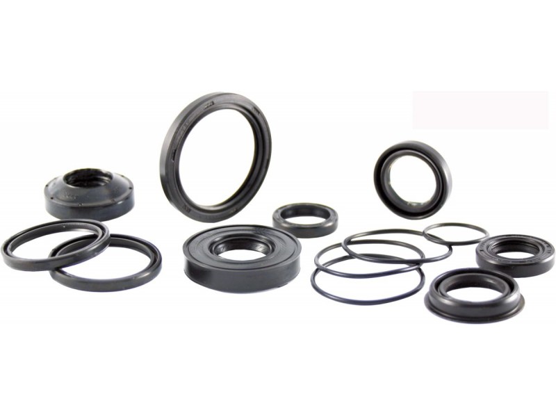 Oil seal RMS 100669300 valve stem Oil seal RMS 100669300 valve stem