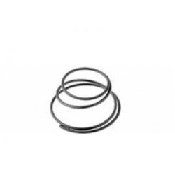 Spring for gear RMS 121930070 (20 pieces) Spring for gear RMS 121930070 (20 pieces)