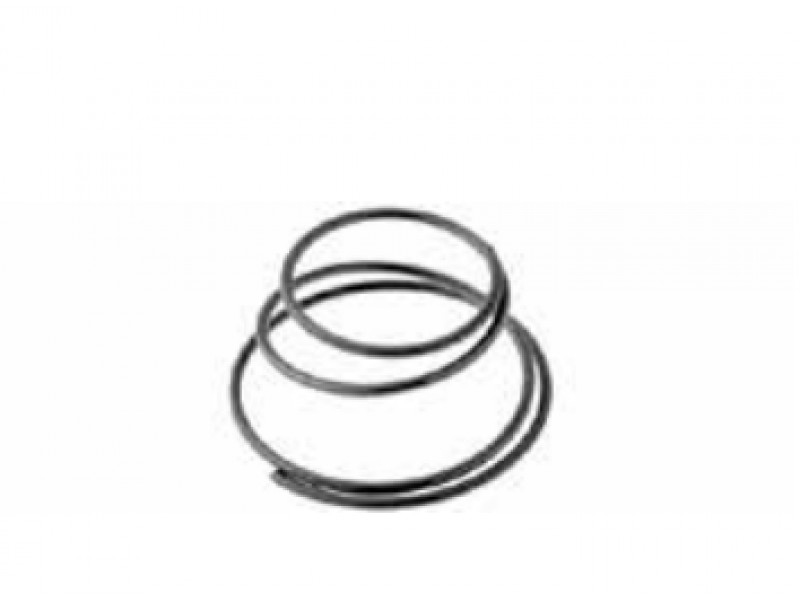 Spring for gear RMS 121930070 (20 pieces)
