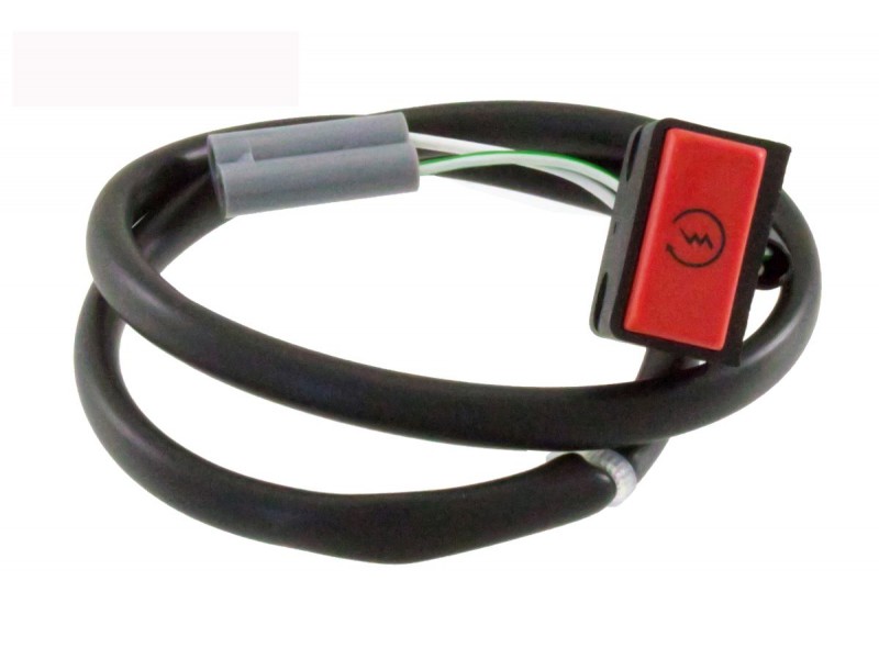 Buton pornire RMS 246135060