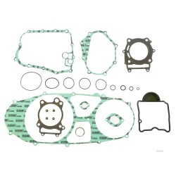 Kit complet ganituri motor ATHENA P400210850308 Kit complet ganituri motor ATHENA P400210850308