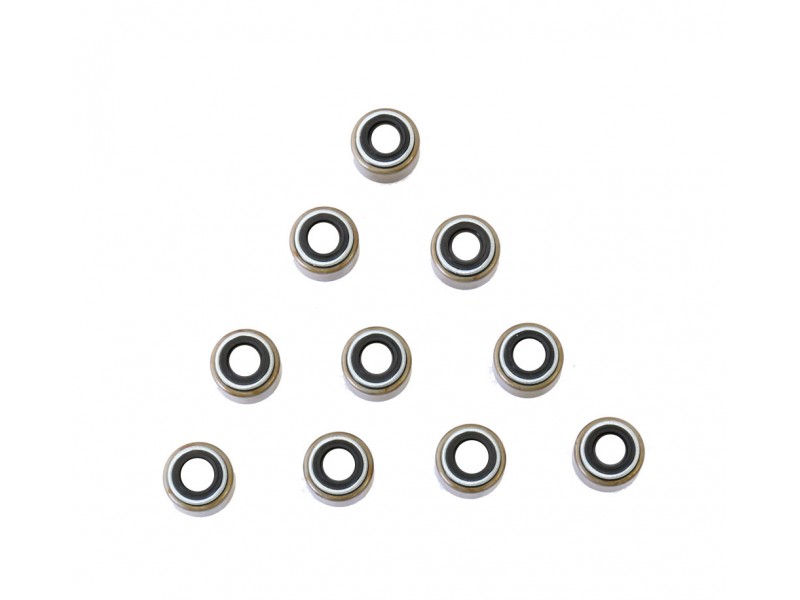 Kit garnituri valve ATHENA P400485420612 (pack of 10 pieces)