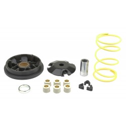 Variator ATHENA P400420110001 Variator ATHENA P400420110001