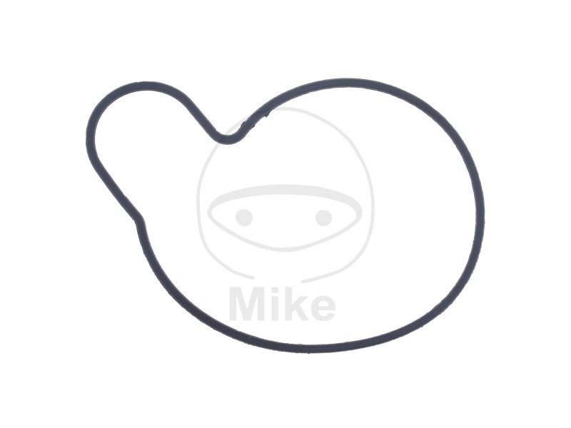 Garnitura pompa de apa ATHENA S410510024021 Garnitura pompa de apa ATHENA S410510024021