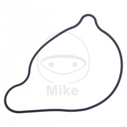 Garnitura pompa de apa ATHENA S410485024015 Garnitura pompa de apa ATHENA S410485024015