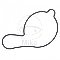 Garnitura pompa de apa ATHENA S410485024028 Garnitura pompa de apa ATHENA S410485024028
