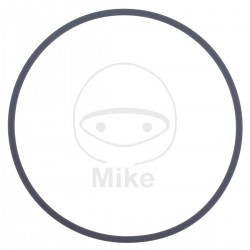 Garnitura pompa de apa ATHENA M752006000004 2X60 mm Garnitura pompa de apa ATHENA M752006000004 2X60 mm