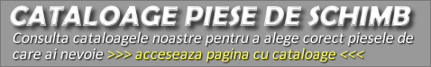 Cataloage piese de schimb și uleiuri – Ghid Complet
